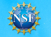 The National Science Foundation Graduate Research Fellowship Program